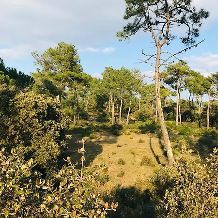 Du Parc, Emplacement Reve Apartamento